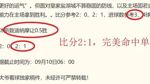 德乙解析：防守漏洞与进攻难题交织，比赛结果悬念重重